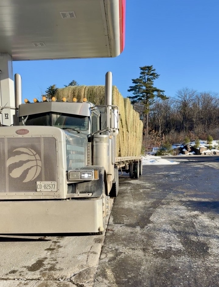 White's Transport hauling work